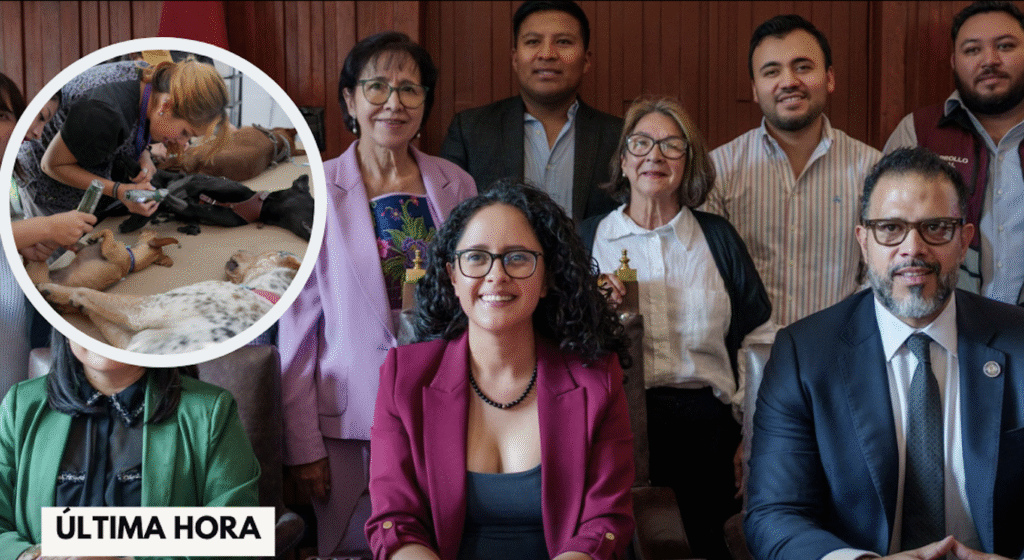 ALCALDIA TLALPAN BIENESTAR ANIMAL